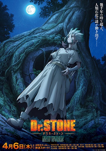Dr. Stone New World